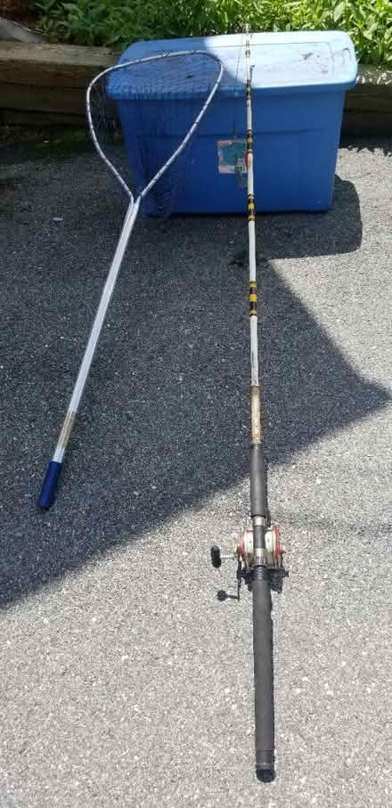 Photo of free Fishing rod and net (South Chelmsford) #1