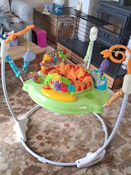 Photo of free Baby Bouncer (East Teignmouth) #1