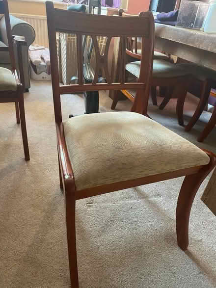 Photo of free Dining Chairs (Lymm WA13) #2