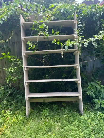 Photo of free Old shelf (Upper Roxborough) #1
