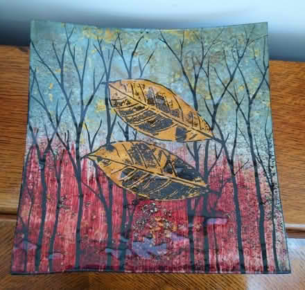 Photo of free Glass plate (Pilton EX4) #1