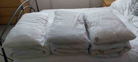 Photo of free Single Duvet 13.5 tog & pillow (Haydon wick SN25) #1