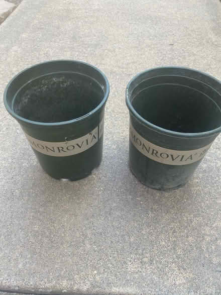 Photo of 1-gallon Nursery Garden Pots (Sunnyvale near Fremont High) #1