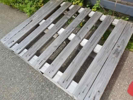 Photo of free Pallet (Chapel House NE5) #1