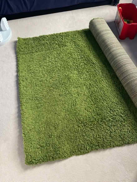 Photo of free Green IKEA Rug (KT7) #3