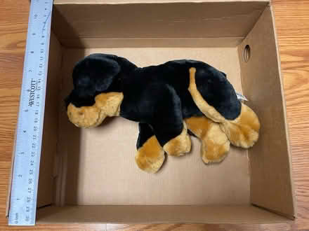 Photo of free Three stuffed animal puppies (Piney Orchard) #4
