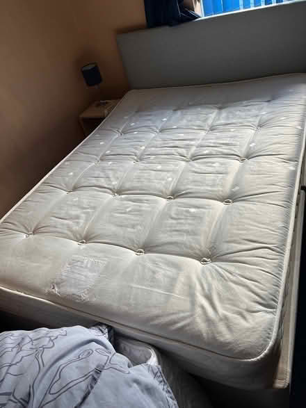 Photo of free Double Bed (Beeston, Nottingham) #1