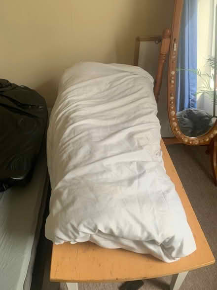 Photo of free Double Duvet (Glasgow Dennistoun) #1