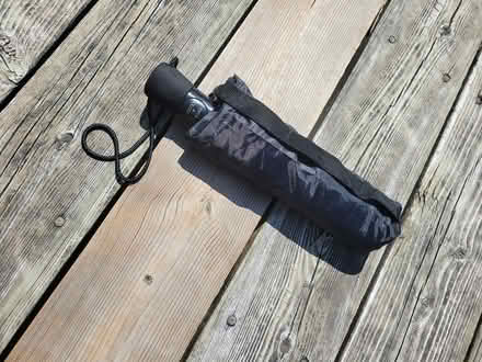 Photo of free Black umbrella with pink interior (Viemount/Merivale area) #3