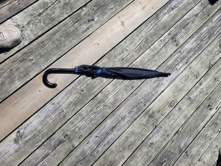 Photo of free black and blue umbrella (Viemount/Merivale area) #1