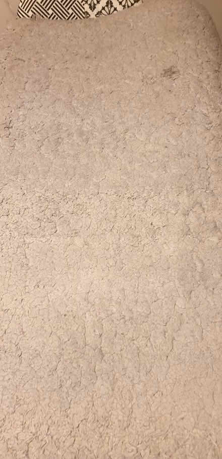 Photo of free Grey rug 122cm x 169cm (SK14 (Hyde)) #3