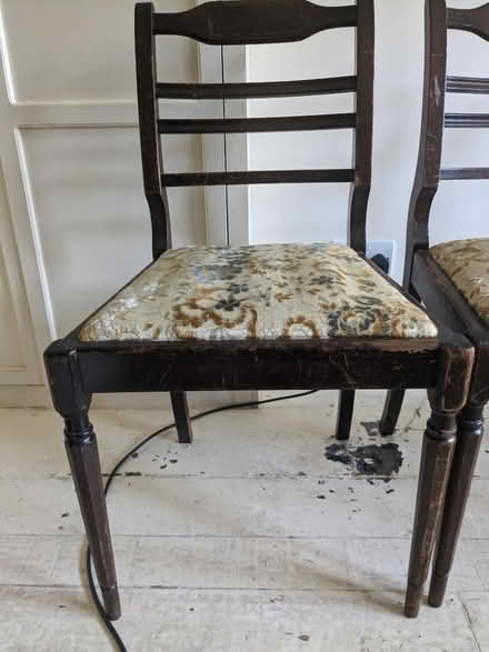 Photo of free Four dining room chairs (Streatham SW16) #1