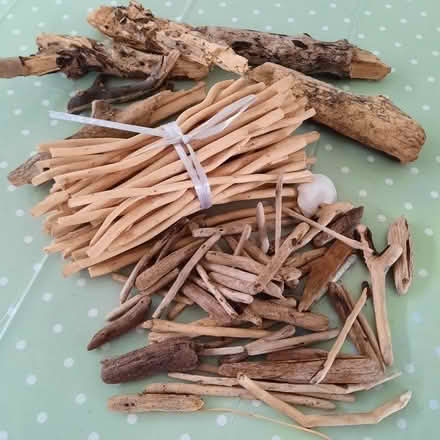 Photo of free Driftwood - small pieces (North Bitchburn DL15) #1