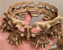 Photo of free Skulls decorative (Clerkenwell EC1V) #2
