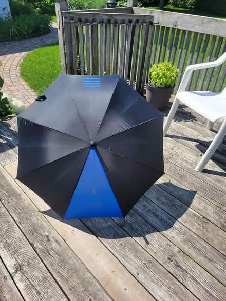 Photo of free black and blue umbrella (Viemount/Merivale area) #2