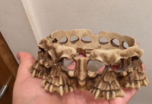 Photo of free Skulls decorative (Clerkenwell EC1V) #1