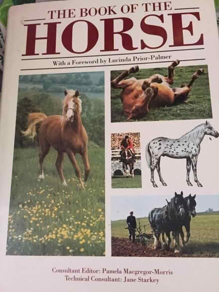 Photo of free Horse book (Blacklands TN34) #1