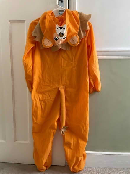 Photo of free Kids lion costume (onesie) (Lee, SE12) #1