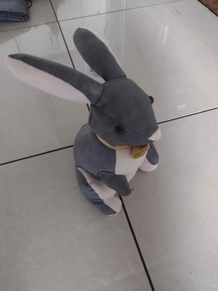 Photo of free Rabbit doorstop (Slateford EH14) #1