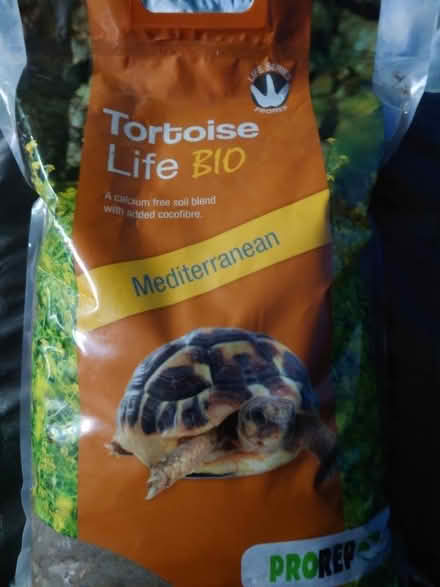 Photo of free Tortoise life bio (Sacriston DH7) #1