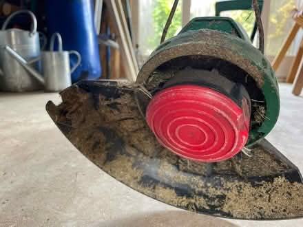 Photo of free Electric grass strimmer (Stubbington PO14) #4