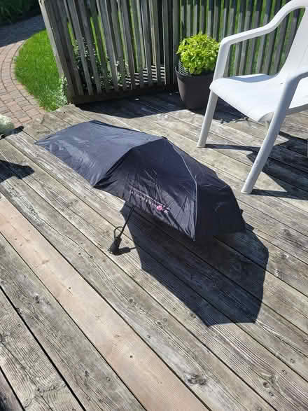 Photo of free Black umbrella with pink interior (Viemount/Merivale area) #2
