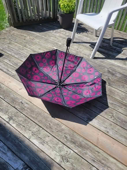 Photo of free Black umbrella with pink interior (Viemount/Merivale area) #1