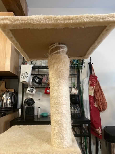 Photo of free Cat Tower (Shockoe Bottom) #4