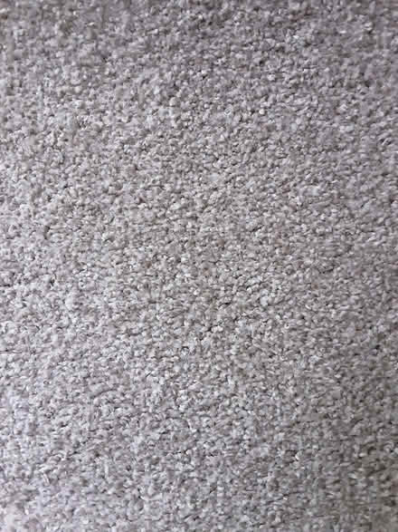 Photo of free 2 offcuts of 12mm pile carpet (PA2) #3