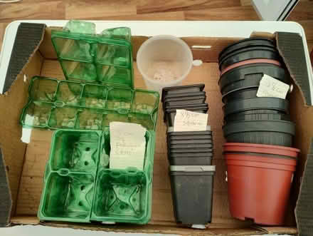 Photo of free Plastic Flower Pots (Aldwick PO21) #1