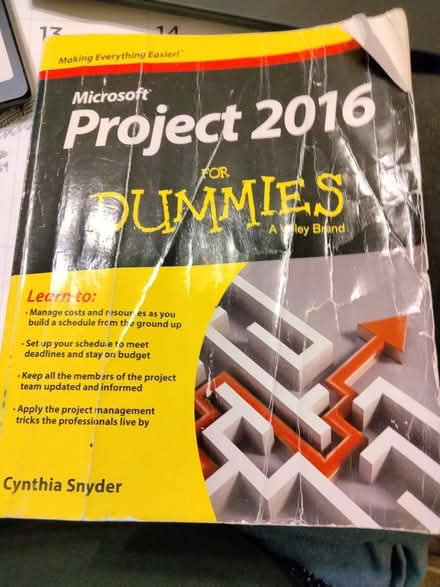 Photo of free MS Project 2016 (Essex) #1