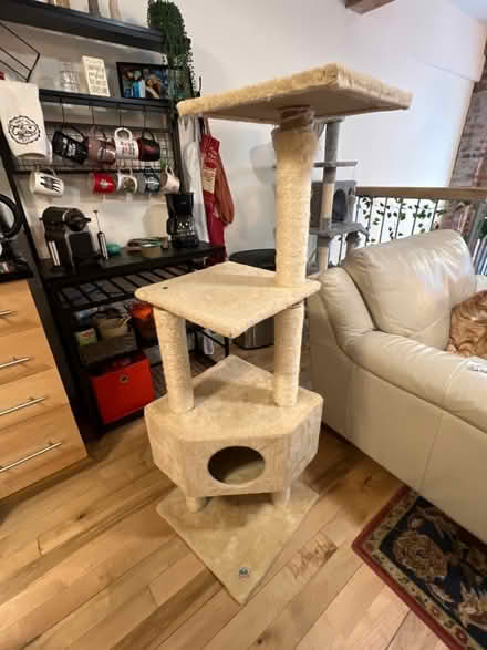 Photo of free Cat Tower (Shockoe Bottom) #1