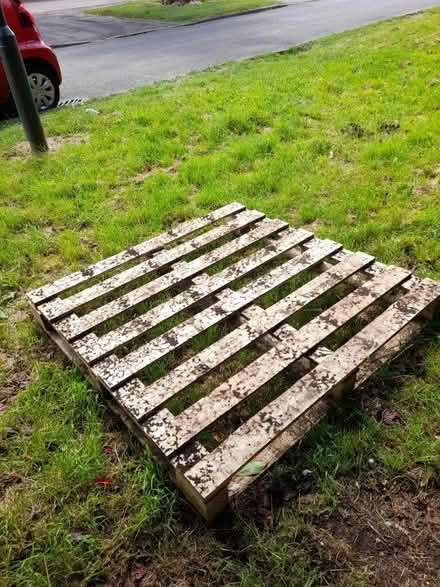 Photo of free Pallet (CV8) #1