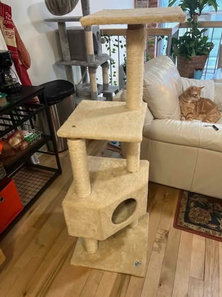 Photo of free Cat Tower (Shockoe Bottom) #2