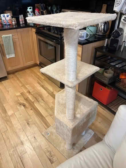 Photo of free Cat Tower (Shockoe Bottom) #3