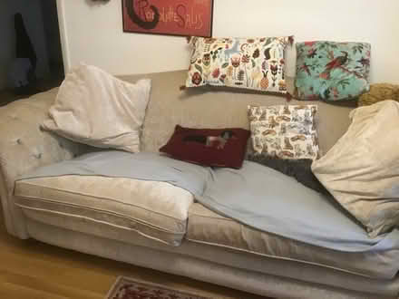 Photo of free Sofa (Winchmore Hill N13) #2