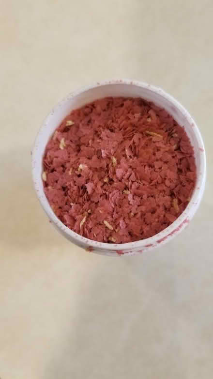 Photo of free Betta/fish food (Palatine) #3