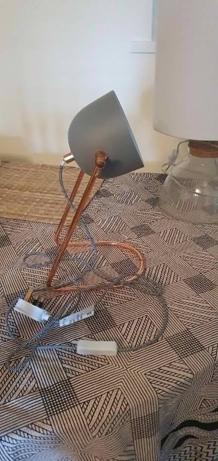 Photo of free Trendy Rose Gold Lamp (Cupar, KY15) #1