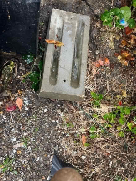 Photo of free Bike stand (Chalkwell SS0) #1