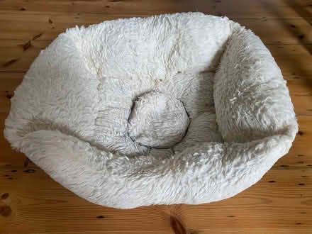 Photo of free Cat/dog cushion (Finchley N3) #1