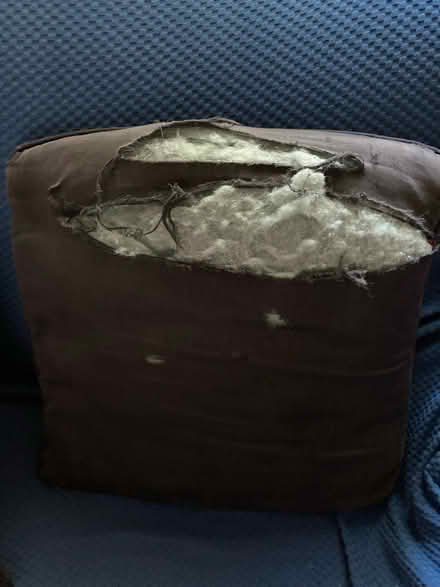 Photo of free Coca Cola Pillow for Crafts (South Springfield) #2
