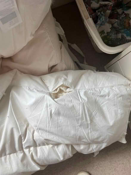 Photo of free Feather mattress topper (Haywards Heath RH16) #2