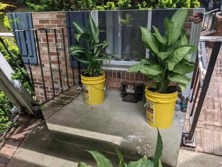 Photo of free Bathroom Mirror (21146) #1