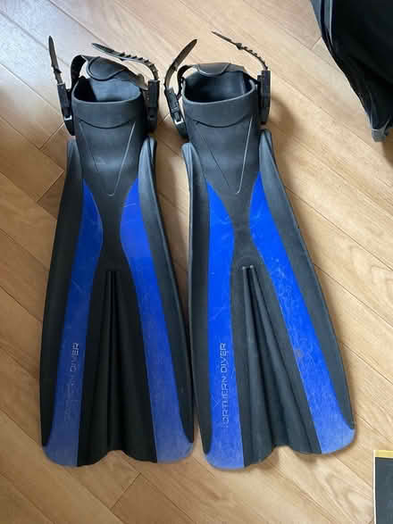 Photo of free Diving flippers (Coppull, PR7) #2