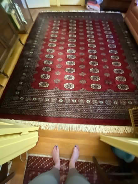 Photo of free Wool Area Rug 8x10 (San Anselmo, near the "hub") #1