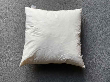 Photo of free Feather Cushion Inner 20”x20” (Bohemia TN37) #1