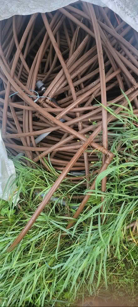 Photo of free horticulture drip irrigation (North York) #1