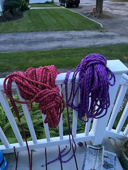 Photo of free Used Climbing ropes (Near Medford Square) #1