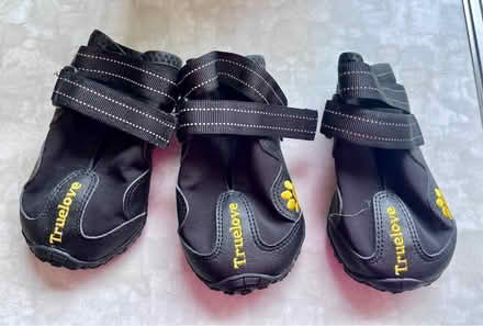 Photo of free All Weather Dog Shoes (ME14 (Detling)) #3