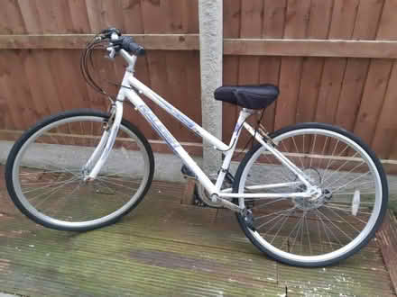 Photo of free Ladies bike (West End LA3) #1